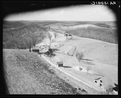 General view. Zaleski forest project, Vinton County, Ohio
