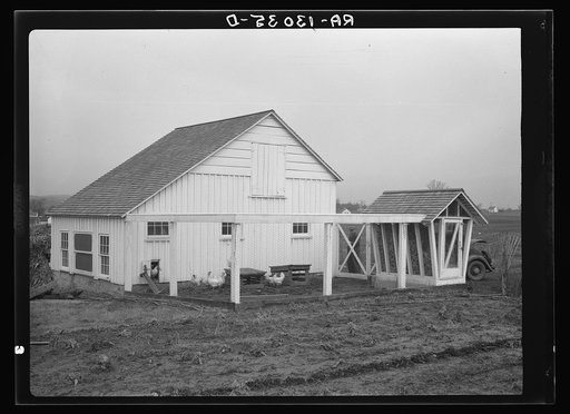 Barn, corn crib, and chickens belonging to Mr. Hardin, a Resettlement Administrator homesteader on the Arthurdale project. Reedsville, West Virginia