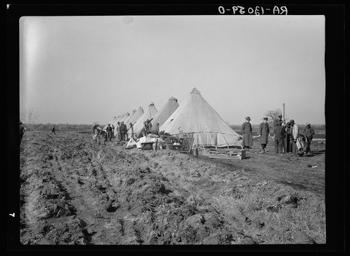 Section of camp for Negro flood refugees set up in Forrest City, Arkansas