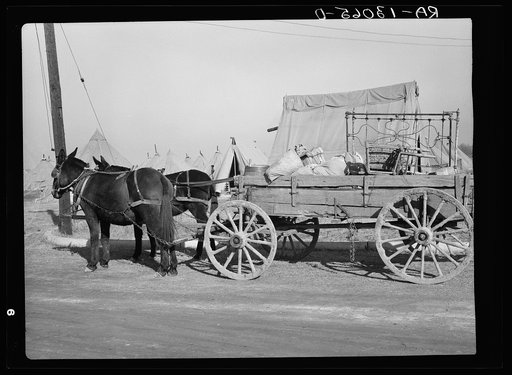 Household goods of a family moving into the camp for flood refugees at Forrest City, Arkansas