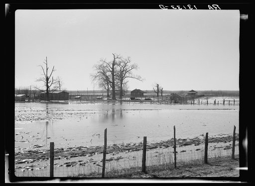 Farmland submerged by the 1937 flood at Bessie Levee near Tiptonville, Tennessee