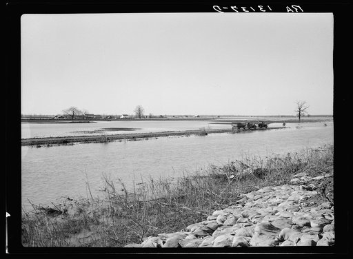 Submerged farmland at Bessie Levee near Tiptonville, Tennessee, during the 1937 flood