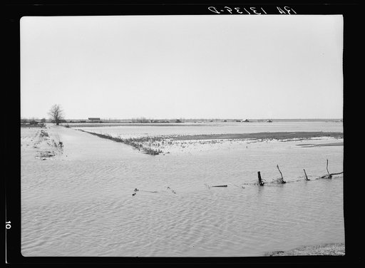 Submerged farmland at Bessie Levee near Tiptonville, Tennessee, during the 1937 flood