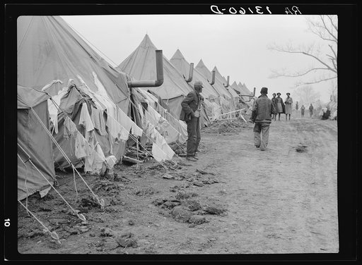 A street of tents in the camp for flood refugees at Forrest City, Arkansas