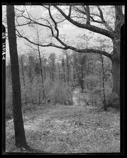 Footpath surrounding the town. Berwyn, Maryland