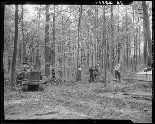 View of clearing out scrub timber. Berwyn, Maryland