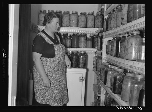 Mrs. Marinus Hansen, wife of a Box Elder County, Utah, Farm Security Admistration rehabilitation client, proudly surveys part of the home-canned fruits and vegetables she has put up as part of her home management plan.  Most of these orchard and garden products were homegrown as well as home-preserv