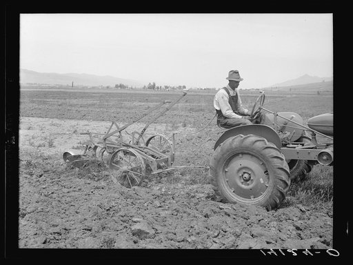 Orion W. Snow, Box Elder County, Utah farmer drives the tractor which his Farm Security Administration rehabilitation loan bought. Only machine power can plow part of the land farmed by Snow