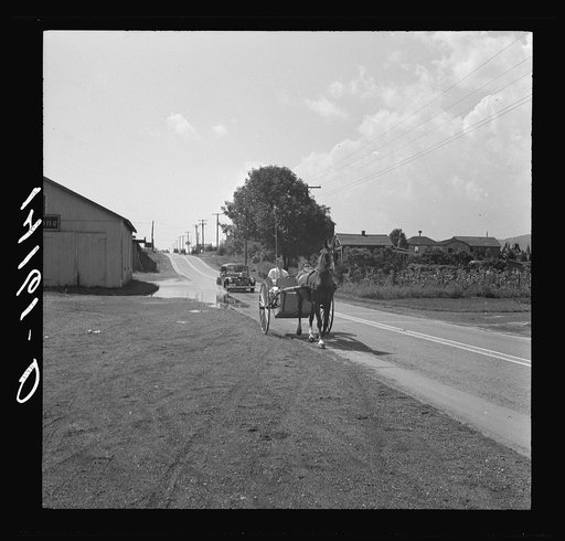 Sulky on road near Gettysburg, Pennsylvania