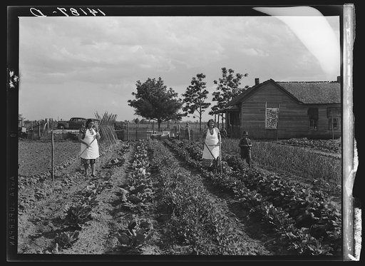 Farm workers in Southeastern Missouri augumenting their sparse income by growing their own food in a spring garden. (Labor Rehabilitation Program)