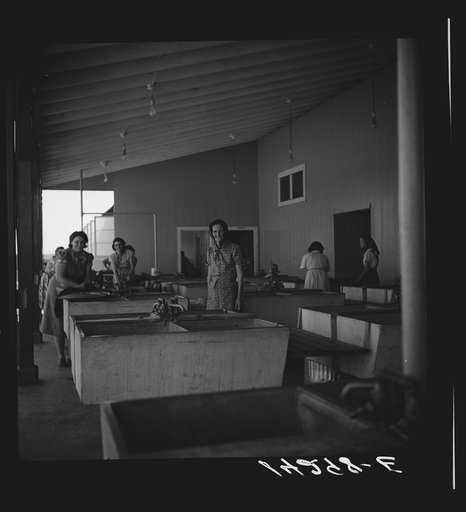 Laundry section of utility section. Visalia, California