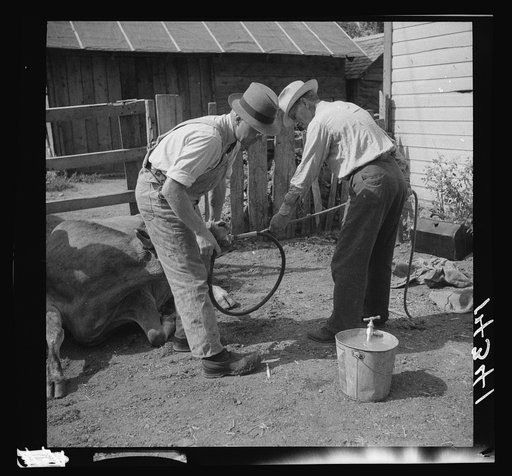 Stomach tube medication, ob. case. Fremont County, Idaho