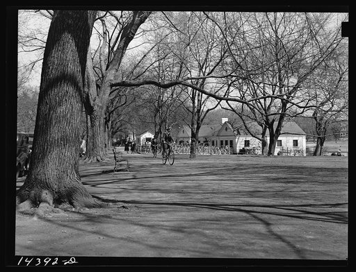 Sunday recreation for "government workers." Tidal Basin, Washington, D.C.