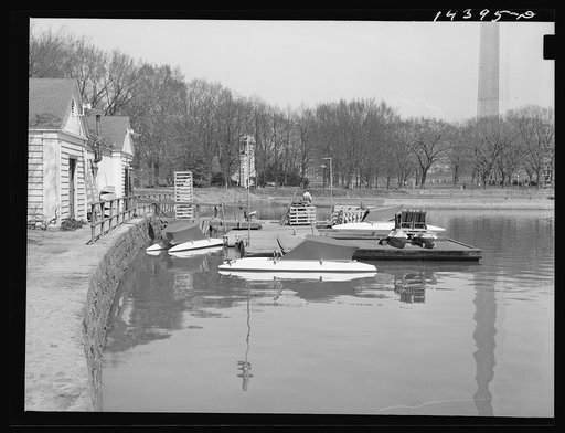 Tidal Basin, Washington, D.C.