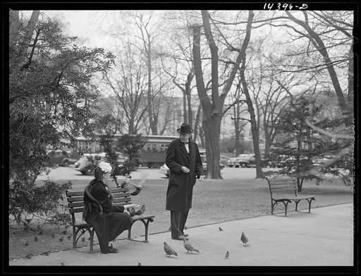 Sunday in the park. Washington, D.C.