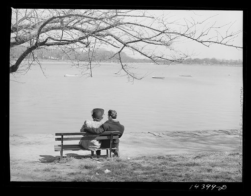 It's cold, but it's spring. Washington, D.C.