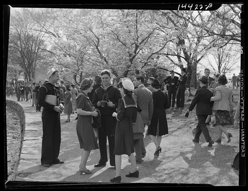 Sailors and friends at Cherry Blossom Festival. Washington, D.C.