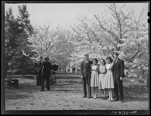 Getting their picture taken. Cherry Blossom Festival, Washington, D.C.
