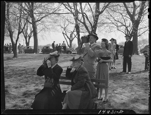 Camera bugs snapping the cherry blossoms across the Tidal Basin. Cherry Blossom Festival, Washington, D.C.
