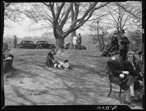 Cherry Blossom Festival, Washington, D.C.
