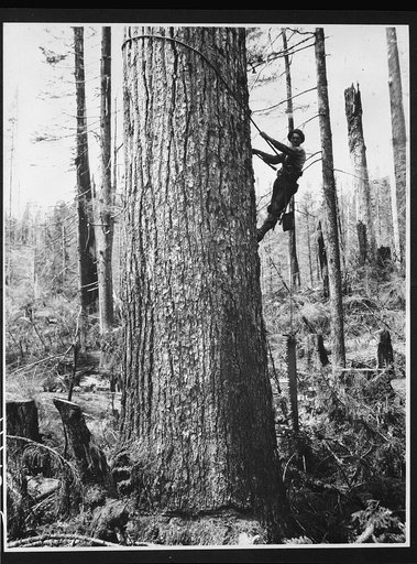 Equipment of the high climber. Washington