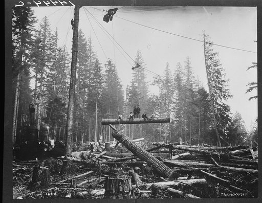 A close-up of yarding and loading. Washington