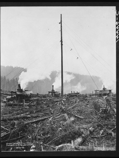 The high lead spar mast rigged. Washington