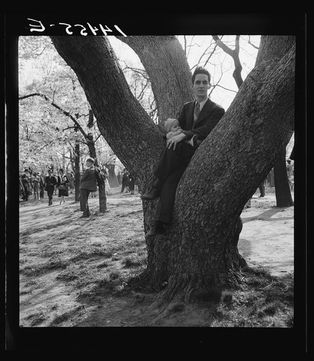 Watchin' the crowds. Cherry Blossom Festival, Washington, D.C.