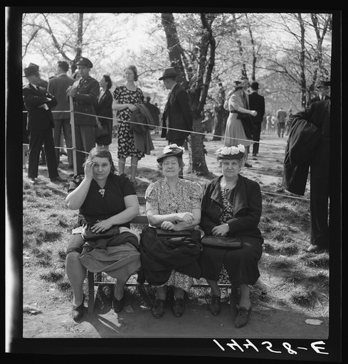 Resting between scenes. Cherry Blossom Festival, Washington, D.C.