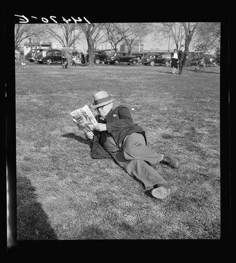 Looking at pitures in the park. Washington, D.C.