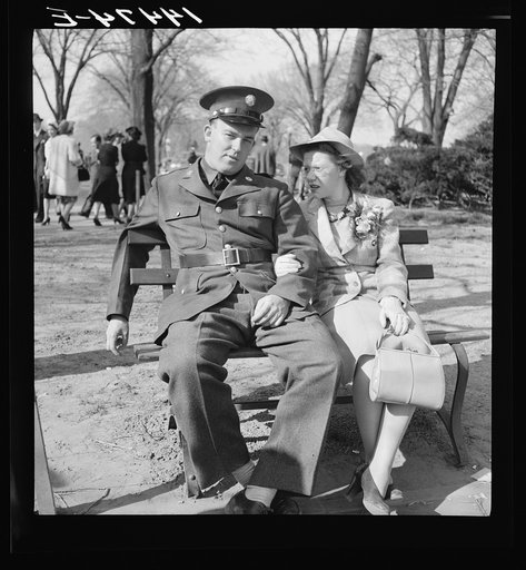 Soldier and friend. Cherry Blossom Festival, Washington, D.C.