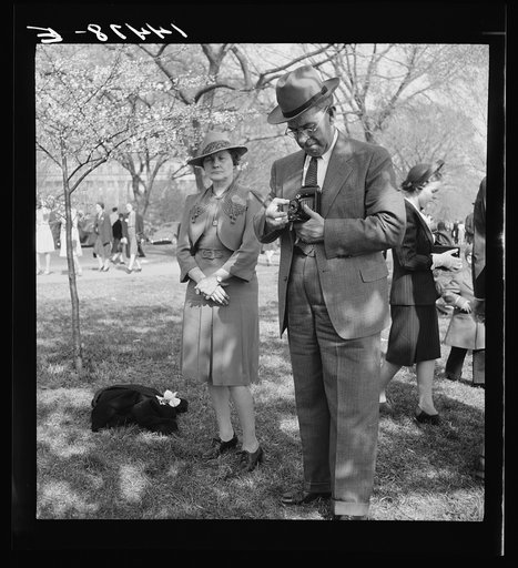Steady dad, this is for the folks at home.  Cherry Blossom Festival, Washington, D.C.