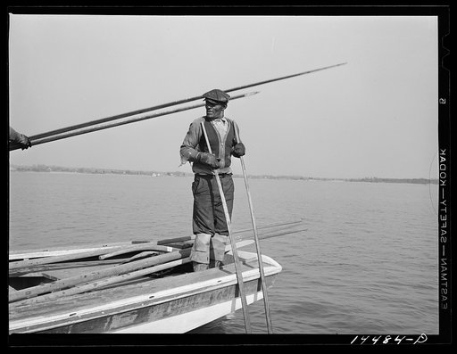 Oyster tonger. Wicomico River, Maryland
