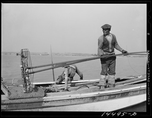 Oyster tonger. Wicomico River, Maryland