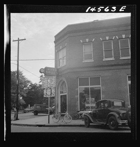Negro house. Greene County, Georgia