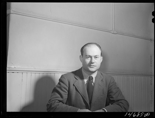 Mr. Arthur Rothstein, Farm Security Administration photographer