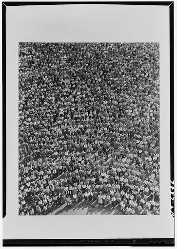 A crowd