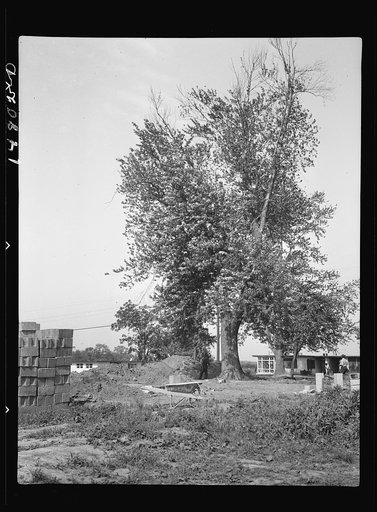 Hightstown, New Jersey. Progress photograph taken during construction of the Jersey homesteads, a U.S. Resettlement Administration project