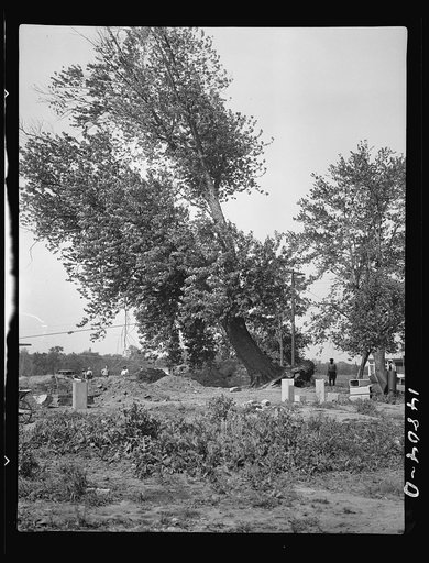 Hightstown, New Jersey. Progress photograph taken during construction of the Jersey homesteads, a U.S. Resettlement Administration project