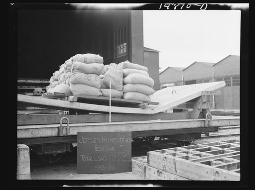Hightstown, New Jersey. Progress photograph taken during construction of the Jersey homesteads, a U.S. Resettlement Administration project