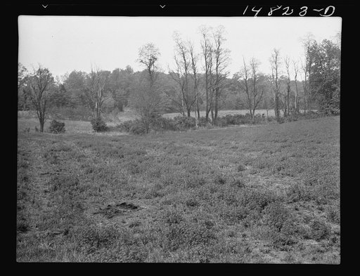Hightstown, New Jersey. Progress photograph taken during construction of the Jersey homesteads, a U.S. Resettlement Administration project