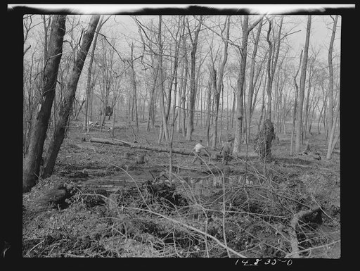 Hightstown, New Jersey. Progress photograph taken during construction of the Jersey homesteads, a U.S. Resettlement Administration project