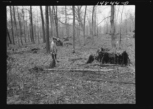 Hightstown, New Jersey. Progress photograph taken during construction of the Jersey homesteads, a U.S. Resettlement Administration project