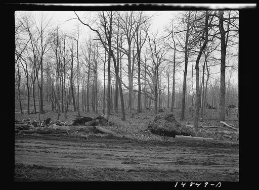 Hightstown, New Jersey. Progress photograph taken during construction of the Jersey homesteads, a U.S. Resettlement Administration project