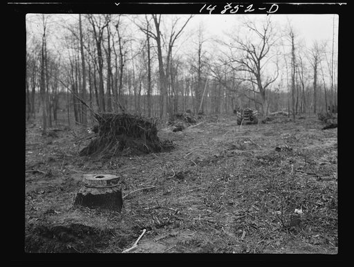Hightstown, New Jersey. Progress photograph taken during construction of the Jersey homesteads, a U.S. Resettlement Administration project