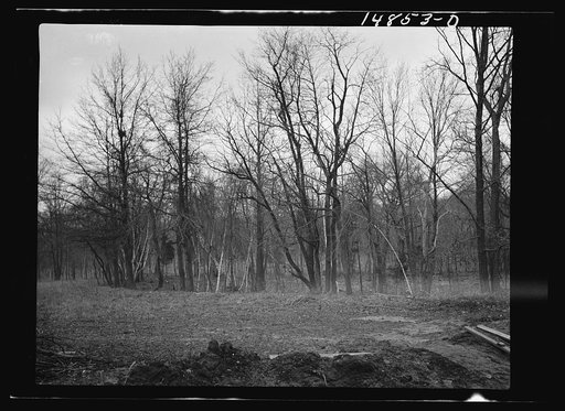 Hightstown, New Jersey. Progress photograph taken during construction of the Jersey homesteads, a U.S. Resettlement Administration project
