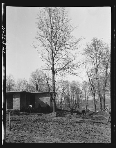 Hightstown, New Jersey. Progress photograph taken during construction of the Jersey homesteads, a U.S. Resettlement Administration project