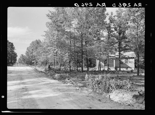 Untitled photo, possibly related to: House at Meridian (Magnolia Homesteads), Mississippi