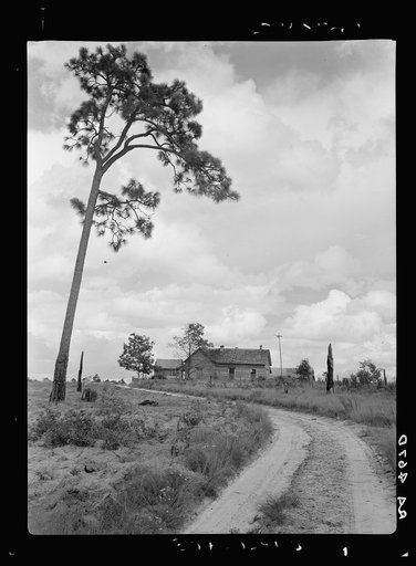 Untitled photo, possibly related to: Home of tenant farmer who has not yet been moved into a new house. Irwinville Farms, Georgia