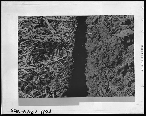 Fresh plowed land, Greene County, Iowa